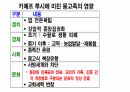 호모사피언스 . PPT 57페이지