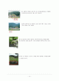 동구릉 10페이지
