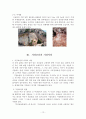 고창 변산 문화 유적 답사자료 12페이지