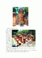 나트랑 판랑 달랏 답사자료 4페이지