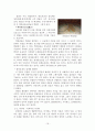 고창 변산 정읍 유적 답사자료 19페이지