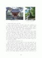 현풍 창녕지역 유적답사 36페이지