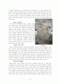 강진지역 답사자료 19페이지