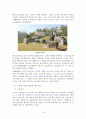 영월지역 답사자료 16페이지