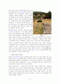 영월지역 답사자료 17페이지