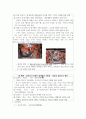 신화 12페이지