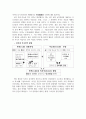 신화 41페이지