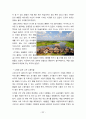 브라질의 역사와 문화 23페이지