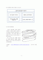 트리즈(Triz) 원리를 활용한 발명특허 분석(3) 5페이지
