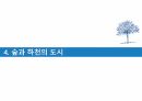 (성적A) 생태 도시(프라이부르크) 29페이지