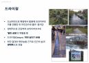 (성적A) 생태 도시(프라이부르크) 31페이지
