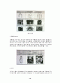 안드레아 팔라디오 20페이지