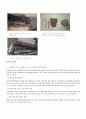 지진의 정의와 사례 4페이지