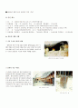 지진의 정의와 사례 5페이지