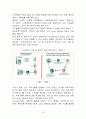 다국적 기업의 현지화 전략 및 성공적 실천 방안 탐색(인도네시아를 중심으로) 18페이지