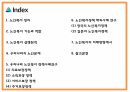 노인복지 연구 PPT (노인복지 기능,역할,실행원칙 / 우리나라와 해외 노인복지 정책사례연구 / 노인복지 미래방향제시) 3페이지