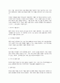 다국적기업론 5페이지