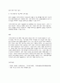 다국적기업론 11페이지
