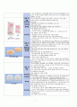 성인간호학 - 오토바이 TA  case study 7페이지