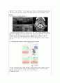 성인간호실습 수술실 케이스 - 갑상선암(다빈치 로봇 갑상선절제술) 수술과정+간호과정 5개 (A+) 3페이지