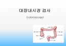 특수검사간호 13페이지