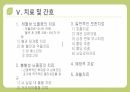 질병 문헌 고찰 CVA, 뇌졸중 pt 8페이지