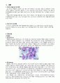 급성 골수성 백혈병(acute myelogenous leukemia AML) CASE STUDY 3페이지