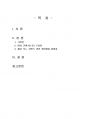 2024년 1학기 1인미디어기획제작 출석수업대체시험 과제물(1인 미디어 채널 기획) 2페이지