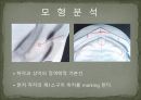 세미나자료 구강해부학의 총의치(덴쳐) 제작(치의학, 치기공, 치위생) 42페이지