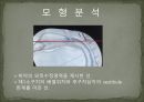 세미나자료 구강해부학의 총의치(덴쳐) 제작(치의학, 치기공, 치위생) 47페이지