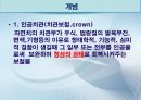 세미나자료 치과보철학 임플란트 시스템에 대해서 알아보자(치의학, 치기공, 치위생) 7페이지