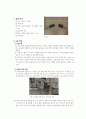 일반물리실험 일차원 충돌 결과보고서 4페이지