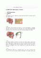 (성인) 간호과정사례보고서_급성췌장염,이상지질혈증,저나트륨혈증,담관역류성위염 5페이지