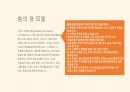 시스템 접근 방식과 힘의 장 모델 13페이지