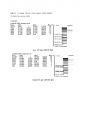 DNA 제한효소 실험결과 레포트 4페이지