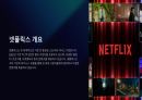[A+] 2024년 넷플릭스 기업분석 및 시장전망 3페이지