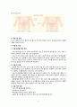 여성간호학 아두불균형 제왕절개 case study 6페이지