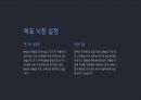 A+ BYD 전략 분석 및 미래 전망 14페이지