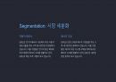 A+ CATL 기업 분석과 미래 전략 12페이지