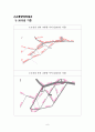 [교통공학]Trans CAD 레포트 7페이지