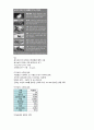 조선대학교 환경과 웰빙 기말고사 족보[A+] 15페이지