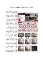 화성 아리셀, 리튬공장 화재 원인, 피해, 향후대책 [아리셀,리튬,리튬화재,리튬배터리] 2페이지
