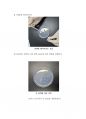 생명과학실험 물질의 확산 (agar) 4페이지