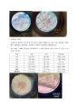 동식물세포 관찰 8페이지