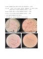삼투와 물질이동 8페이지