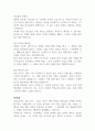 연금술사 - 파울로 코엘료 독후감 2페이지