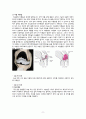 골관절염 casestudy(간호진단 6개, 간호과정 4개, 외과적 수술과 관련된 출혈, 외과적 수술과 관련된 급성통증, 외과적 수술과 관련된 감염위험성, 질병과 관련된 낙상위험성, 수술과 관련된 불안, 식욕부진과 관련된 영양부족) 13페이지