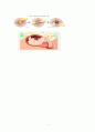 A+ 받음) 강추!! 여성간호학실습, c-sec, 제왕절개, casestudy, 간호과정 3개, 제왕절개분만과 관련된 통증, 제왕절개분만과 관련된 고체온, 모유수유와 관련된 지식부족 10페이지