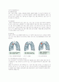 A+ 받음) 강추!! 폐암, 문헌고찰, 서론, 폐암을 고른 이유, 폐의 구조 및 기능, 암, 폐암 (암 발생현황), 폐암의 정의, 폐암의 종류, 원인, 임상증상, 진단검사, 진단 검사의 종류, 병기결정, 치료, 암종류에 따른 치료, 방사선치료, 수술적 치료, 항암화학요법, 재발 및 전이, 치료현황, 간호, 결론, 참고문헌 6페이지