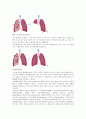 A+ 받음) 강추!! 폐암, 문헌고찰, 서론, 폐암을 고른 이유, 폐의 구조 및 기능, 암, 폐암 (암 발생현황), 폐암의 정의, 폐암의 종류, 원인, 임상증상, 진단검사, 진단 검사의 종류, 병기결정, 치료, 암종류에 따른 치료, 방사선치료, 수술적 치료, 항암화학요법, 재발 및 전이, 치료현황, 간호, 결론, 참고문헌 15페이지